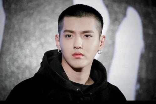 最新八卦爆料杨紫肖战,甜蜜互动引网友热议